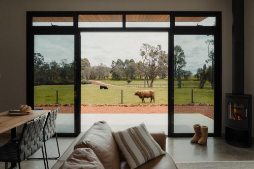 a living room with a couch and a view of a cow at 8 Paddocks Chalet Four in Cowaramup
