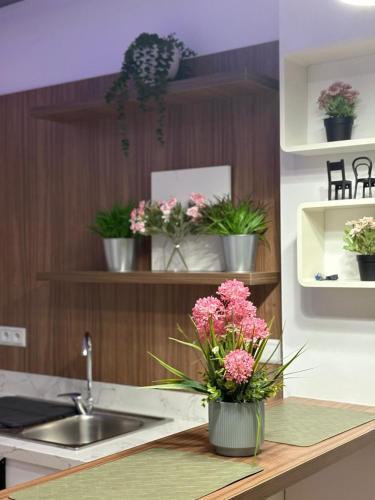a kitchen with potted plants on a counter with a sink at Elégance & Confort in Rabat