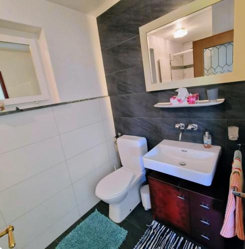 a bathroom with a white toilet and a sink at Arve in Bitsch