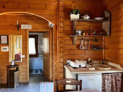 una cocina en una cabaña de madera con fregadero en Bosco D'Olmi Country House, en SantʼAndrea del Garigliano