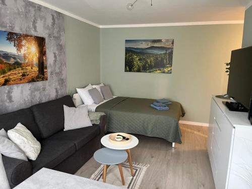a small living room with a couch and a bed at Apartament Piaskowa Mountain & Coffee in Wałbrzych