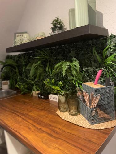 Fotografie z fotogalerie ubytování All Homes Apartments v destinaci Bad Schallerbach