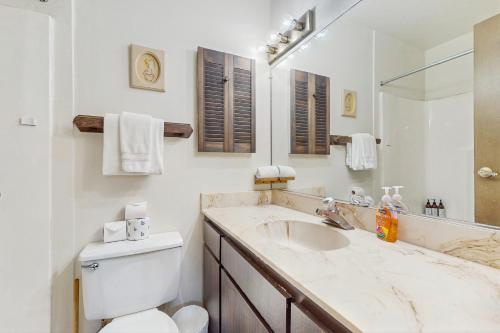 タホ・ビスタにあるLakeside Dreamzzzの洗面台、トイレ、鏡のあるバスルーム