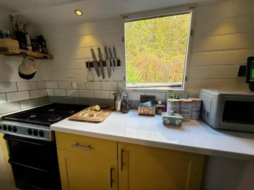 a kitchen counter with a stove and a microwave at BrightOwl Waterside Narrowboat Cottage Experience in Thorpe