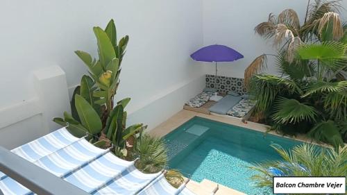 a small swimming pool in a room with plants at Oasis de Bornos Maison Entière in Bornos