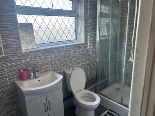 Un baño con inodoro, lavabo y ducha. en The Sawyers Court Home, en Chatham