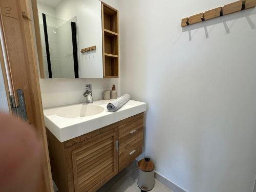 een badkamer met een wastafel en een spiegel bij Chez Camille & Emma - Climatisé in Rochefort