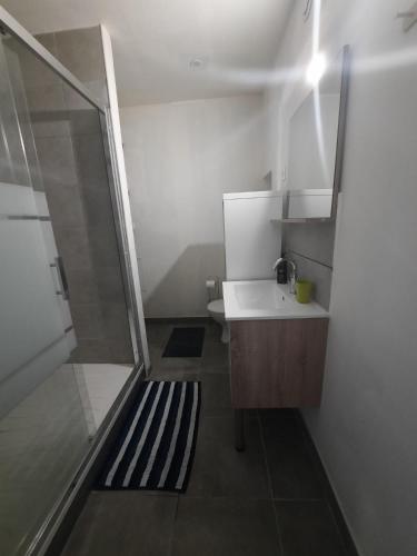 a small bathroom with a shower and a sink at Appartements et studios du Pilat in Saint-Julien-Molin-Molette