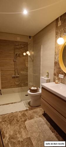 a bathroom with a shower and a toilet and a sink at Oasis de Bornos Maison Entière in Bornos