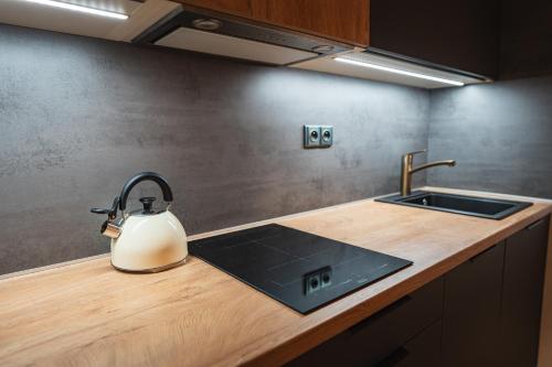 encimera de cocina con hervidor de agua y fregadero en Apartman Milíř - ADULTS ONLY, en Bedřichov