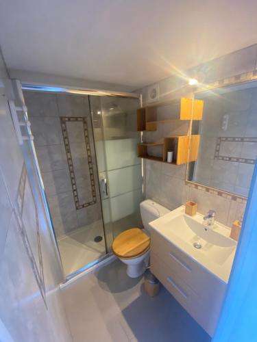 a bathroom with a shower and a toilet and a sink at Vue imprenable sur la mer des Caraïbes in Les Anses-dʼArlets