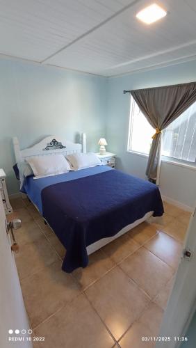 ein Schlafzimmer mit einem blauen Bett und einem Fenster in der Unterkunft Lolamora in Balneario Buenos Aires