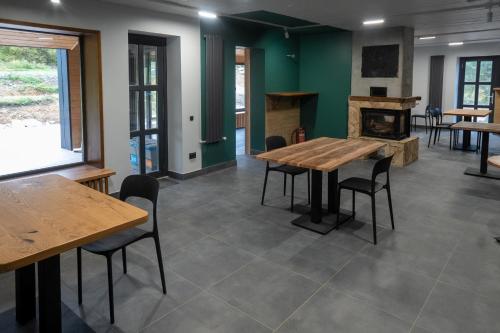 Η κουζίνα ή μικρή κουζίνα στο Bilyi Slon Gadzhyna