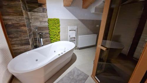 デマノブスカ・ドリーナにあるJasna Chalet - Chopok viewのバスルーム(シャワーの横に白い大型バスタブ付)