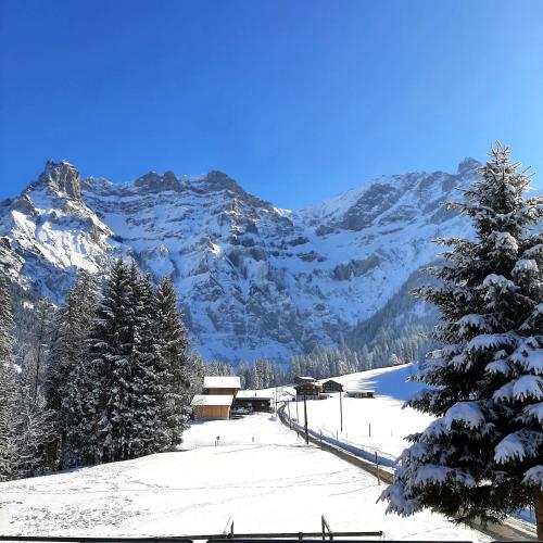 une montagne enneigée avec un arbre au premier plan dans l'établissement Bunderbach, à Adelboden