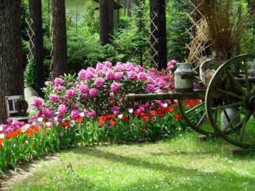 a garden with colorful flowers and a wooden bench at Pension Tannenspitze in Lutherstadt Wittenberg