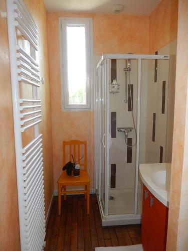 a bathroom with a shower and a sink at Logement indépendant dans cité médiévale in La Charité-sur-Loire