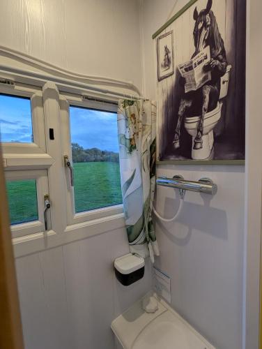 a bathroom with a toilet and a window at The Horsebox at Wits End in Hartford