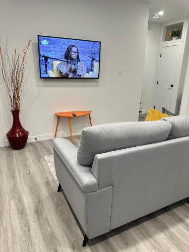 Televiisor ja/või meelelahutuskeskus majutusasutuses Modern Basement Suite near West Edmonton Mall