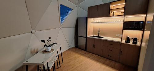 Η κουζίνα ή μικρή κουζίνα στο Domo en plena naturaleza