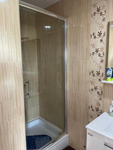 a shower with a glass door in a bathroom at Rooms Jelengrad in Petrijevci