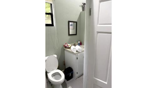 Carolus Suites