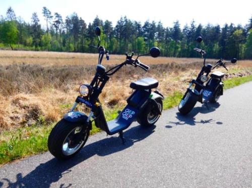 Fotografie z fotogalerie ubytování De Berk v destinaci Zuidwolde