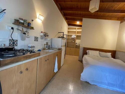 een keuken met een fornuis en een bed in een kamer bij The olive tree in Harduf