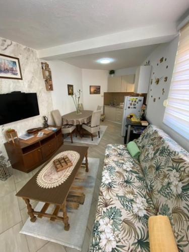 TV a/nebo společenská místnost v ubytování Apartman Darija 3