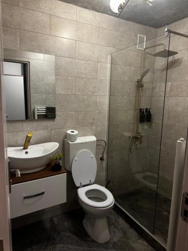 a bathroom with a toilet and a sink and a shower at Cozy Home Studio in Petroşani