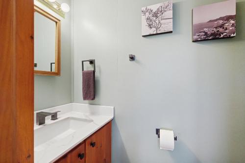 a bathroom with a white sink and a mirror at Papa's Cabin in Wilmot