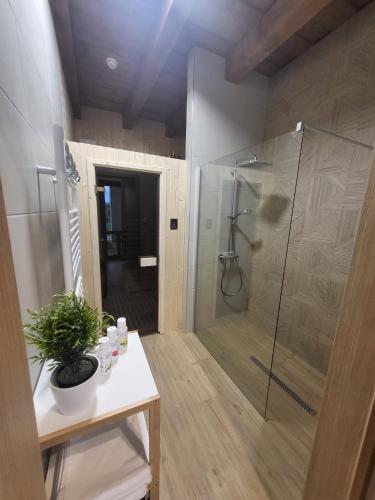 a bathroom with a shower and a plant on a table at HorizOND Vendégház in Szerencs