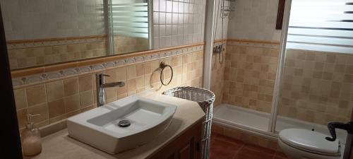 a bathroom with a sink and a shower and a toilet at CASA RURAL LA FINCA DEL POZO a 1 hora de Madrid in Segovia