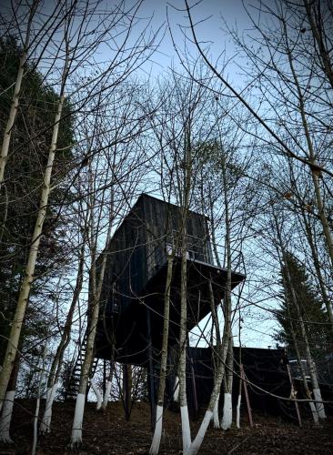 a building sitting in the middle of some trees at M Cabin Tree house Predeal Ciubar in Predeal