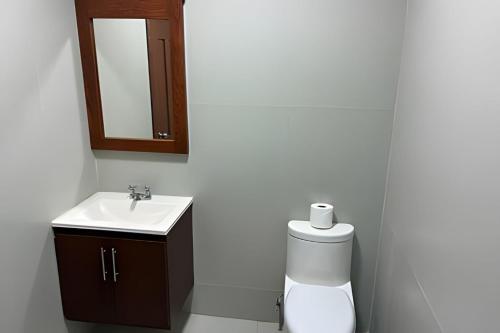 a bathroom with a sink and a toilet and a mirror at Loft El Tular - a 5 minutos de la Playa in Colonia Miramar