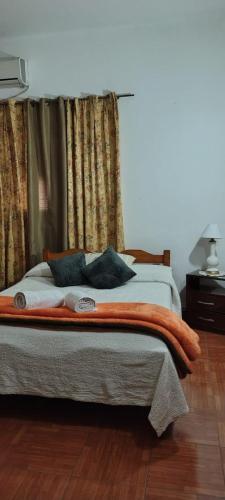 un lit avec des oreillers dessus dans une chambre dans l'établissement Hostal la caleta, à Salta