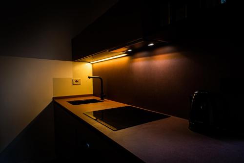 a dark kitchen with a sink and a light at Appartamento con terrazza La Voliera di Bacco in Frascati