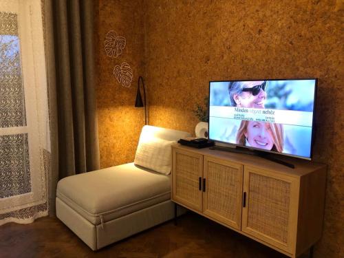 Μια τηλεόραση ή/και κέντρο ψυχαγωγίας στο The Bohó Vándor Guesthouse