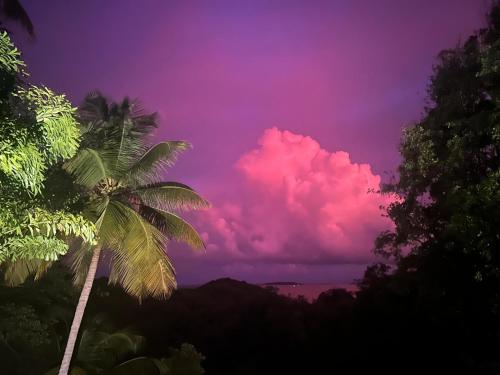 een roze wolk in de lucht met een palmboom bij Villa Goyave in Le Robert