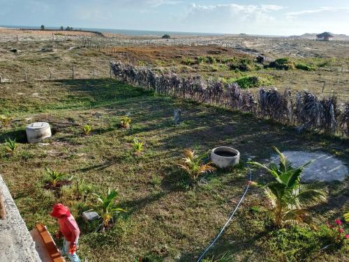 a garden with plants in a field with a stone wall at Pousada degamix in Barroquinha