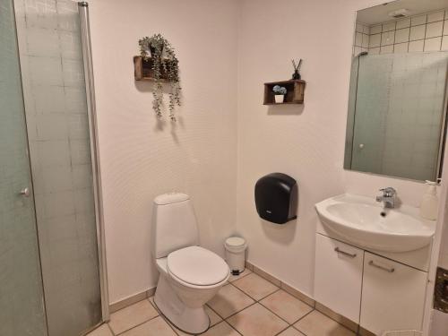 a bathroom with a toilet and a sink at Værelse til leje 7 in Hørve