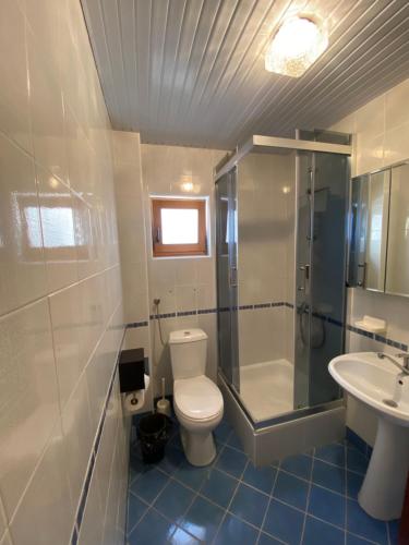 a bathroom with a toilet and a shower and a sink at Tito's Place in Ohrid