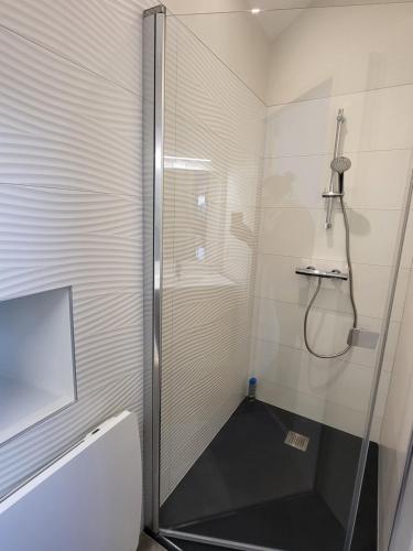una ducha con puerta de cristal en un baño en Le Gemmois, en Sainte-Gemme-sur-Loire
