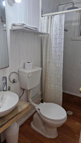 ネルトゥメにあるCabaña Huilinのトイレと洗面台を備えた白いバスルーム