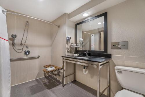 a bathroom with a sink and a toilet and a mirror at Red Roof Inn Houston Brookhollow in Houston