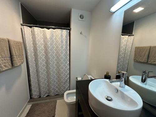 Koupelna v ubytování Moderno departamento con vista a Santa Lucía, Mty