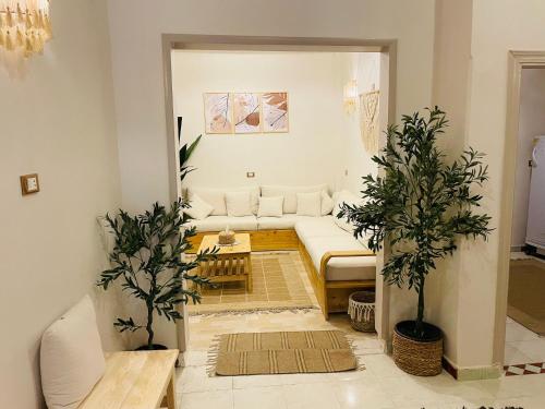 a living room with a couch and two potted plants at Shali Home in Siwa