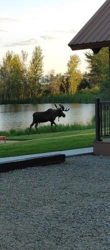 a statue of a bull running in the grass at SkyWater Cabins in Hamilton