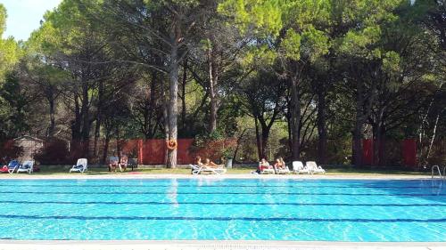 Πισίνα στο ή κοντά στο Mobilehome in Belvedere Grado 53450