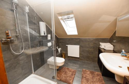 een badkamer met douche, toilet en wastafel bij Haus Thomas Penthouse Deluxe in Dortmund